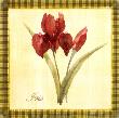 Iris by Yuna Limited Edition Print