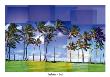 Kauai by Pep Ventosa Limited Edition Print