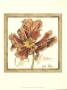 Tulip Study Iii by Jennifer Goldberger Limited Edition Pricing Art Print