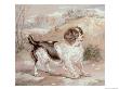 A Spaniel, 1882 by Edwin Henry Landseer Limited Edition Pricing Art Print