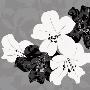 Monochrome Lily Collage by Kate Knight Limited Edition Pricing Art Print