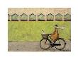Cycling Behind The Beach Huts by Sam Toft Limited Edition Print