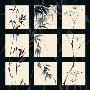 Asian Grass Squares On Black by Chris Paschke Limited Edition Print