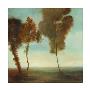 Various Trees I by Simon Addyman Limited Edition Print