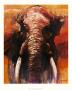 Bull Elephant by Jonathan Sanders Limited Edition Print