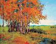 Aspens by Susan Ogilvie Limited Edition Pricing Art Print