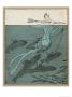 Woodrow Wilson Dreams Of Catching U-Boats by Thomas Theodor Heine Limited Edition Print