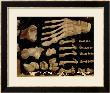 Anatomical Drawing Of The Bones Of The Foot by Hieronymus Fabricius Ab Aquapendente Limited Edition Print