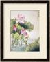 Lotuses And Bird by Fangyu Meng Limited Edition Print