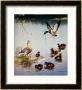 Mallards by Edward Matthew Ward Limited Edition Print