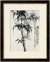 Black Bamboo by Huachazc Lee Limited Edition Print