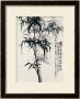 Black Bamboo by Huachazc Lee Limited Edition Pricing Art Print