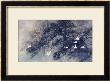 Cranes In Pinewood by Haizann Chen Limited Edition Print