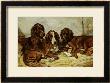 Shot And His Friends, Three Irish Red And White Setters, 1876 by John Emms Limited Edition Print
