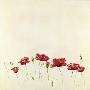 Aufgebluht by Gerti K. Brauer Limited Edition Print