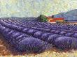 Lavender Fields Ii by Lorraine Westwood Limited Edition Pricing Art Print