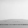 Birds Flying, Africa by Bernd Vogel Limited Edition Pricing Art Print