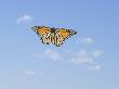 Monarch Butterfly In Flight by Wave Limited Edition Print