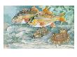 Red Rockfish Swim By A Pair Of Rock Crabs by National Geographic Society Limited Edition Print