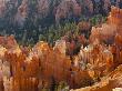 Usa Utah Bryce Canyon National Park Sunrise by Fotofeeling Limited Edition Print