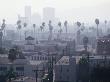 Palm Trees And Smog Over Buildings, Los Angeles, Usa by Rick Gerharter Limited Edition Print