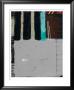 Silver Mist by Ivan Reyes Limited Edition Pricing Art Print