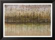 Reflective Waters by Albert Williams Limited Edition Print