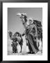 Arab Soldiers Standing Guard With Their Camels by John Phillips Limited Edition Print