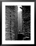 Man Standing In The Lumberyard Of Seattle Cedar Lumber Manufacturing by Alfred Eisenstaedt Limited Edition Pricing Art Print