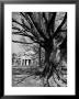 Monticello, House Thomas Jefferson Built For Himself On Top Of Little Mountain Near Charlottesville by Alfred Eisenstaedt Limited Edition Print