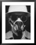 Closeup A A Man Wearing A Safety Helmet, Mask And Goggles by Andreas Feininger Limited Edition Print