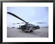 Ah-64 Apache Prepares For Takeoff At Camp Speicher by Stocktrek Images Limited Edition Print