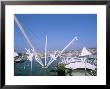 Bigo By Renzo Piano, Porto Antico, Port Area, Genoa (Genova), Liguria, Italy by Bruno Morandi Limited Edition Print