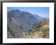 Canyon Below Chivay, Colca Canyon, Peru, South America by Tony Waltham Limited Edition Pricing Art Print