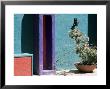 Pastel Coloured Walls In Village, La Placita, Tucson, Arizona, Usa by Ruth Tomlinson Limited Edition Print