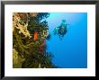 Scuba Diver Swimming Into Cave Of Tubastrae Coral Formation And Soldierfish, Banda Sea, Indonesia by Stuart Westmoreland Limited Edition Print