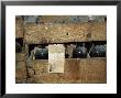 Wooden Crate Of Bottles, Banyuls Wine, Cellier Des Dominicains In Collioure by Per Karlsson Limited Edition Print
