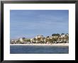 Beach With Palm Trees Along Coast In Bandol, Cote D'azur, Var, France by Per Karlsson Limited Edition Print