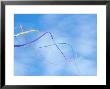 Kite On The Beach, Long Beach, Washington, Usa by John & Lisa Merrill Limited Edition Print