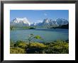 Lake Pehoe, Torres Del Paine National Park, Chile, South America by Jane Sweeney Limited Edition Print