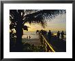 Sunset At Naples Pier, Florida, Usa by Fraser Hall Limited Edition Print
