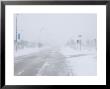 Snow Storm And Blizzard, Churchill, Hudson Bay, Manitoba, Canada, North America by Thorsten Milse Limited Edition Print
