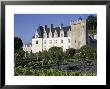 Chateau And Gardens Including Vegetables In Potager, Chateau De Villandry, Centre, France by Guy Thouvenin Limited Edition Print