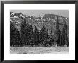 Fiesole by Vincenzo Balocchi Limited Edition Print
