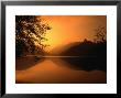 Sunset Reflecting On The Alpsee, Bavaria, Germany by Thomas Winz Limited Edition Print
