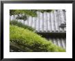 Tile Roof Top And Pines Inside The Otemon Gate To The Imperial Palace, Tokyo, Kanto, Japan by Brent Winebrenner Limited Edition Print