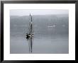 Charter Yacht In Fog, Anchored In Secluded Harbor by Emily Riddell Limited Edition Print