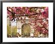 Washington Square Arch With Pink Blossoms In Foreground by Michelle Bennett Limited Edition Print