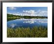 Mount Mckinley And Clouds Are Mirrored In Reflection Pond by Rich Reid Limited Edition Print