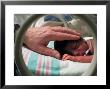 Adult Hand Touching Tiny Head Of Baby, Born Addicted To Crack Cocaine, In Hospital Incubator by Ted Thai Limited Edition Print